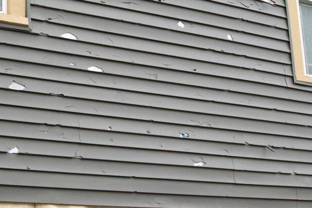 Best Fiber Cement Siding Installation  in Searles Valley, CA